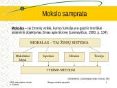 Slaugos modelių samprata 5 puslapis
