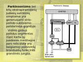 Stereotaksinis metodas 13 puslapis