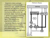 Stereotaksinis metodas 14 puslapis