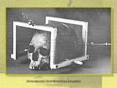 Stereotaksinis metodas 6 puslapis