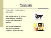 Su sunkiu fiziniu darbu susijusios ligos ir prevencija 15 puslapis