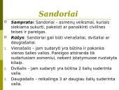 Sutartys. Nuosavybės teisė 2 puslapis