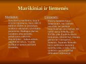 Suvalkiečių tautinis kostiumas 11 puslapis