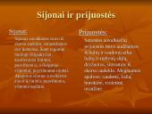 Suvalkiečių tautinis kostiumas 12 puslapis