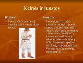 Suvalkiečių tautinis kostiumas 13 puslapis