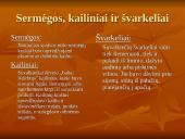 Suvalkiečių tautinis kostiumas 14 puslapis