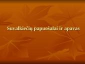 Suvalkiečių tautinis kostiumas 15 puslapis