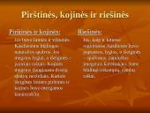 Suvalkiečių tautinis kostiumas 17 puslapis