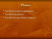 Suvalkiečių tautinis kostiumas 3 puslapis