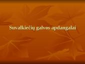 Suvalkiečių tautinis kostiumas 4 puslapis