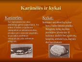 Suvalkiečių tautinis kostiumas 6 puslapis