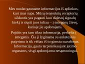 Suvokimo lavinimas 2 puslapis