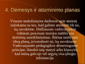 Suvokimo lavinimas 14 puslapis