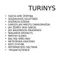 Šiaurės Amerika trumpai 2 puslapis