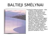 Šiaurės Amerika trumpai 11 puslapis