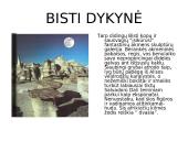 Šiaurės Amerika trumpai 13 puslapis