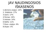 Šiaurės Amerika trumpai 8 puslapis