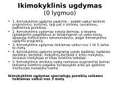 Švietimo sistema struktūriniu aspektu 11 puslapis