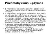 Švietimo sistema struktūriniu aspektu 12 puslapis