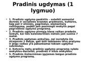 Švietimo sistema struktūriniu aspektu 13 puslapis