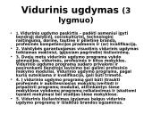 Švietimo sistema struktūriniu aspektu 16 puslapis