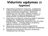 Švietimo sistema struktūriniu aspektu 17 puslapis