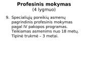 Švietimo sistema struktūriniu aspektu 19 puslapis