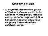 Švietimo sistema struktūriniu aspektu 4 puslapis