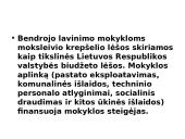 Švietimo sistemos finansavimas 8 puslapis