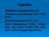 TagEditor redagavimo aplinka 2 puslapis