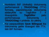 TagEditor redagavimo aplinka 4 puslapis