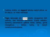 TagEditor redagavimo aplinka 10 puslapis