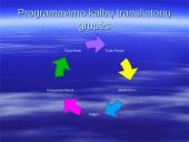 Taikomoji programinė kompiuterio įranga 13 puslapis