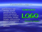 Taikomoji programinė kompiuterio įranga 19 puslapis