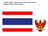 Tailando valstybė 3 puslapis