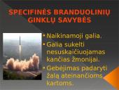 Tarptautinio teisingumo teismo konsultacinė išvada dėl branduolinio ginklo naudojimo ir grasinimo juo 2 puslapis