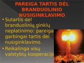 Tarptautinio teisingumo teismo konsultacinė išvada dėl branduolinio ginklo naudojimo ir grasinimo juo 9 puslapis
