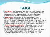 Tarptautinių sutarčių vieta nacionalinės teisės sistemose 20 puslapis