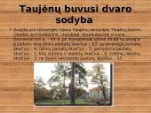 Taujėnai. Buvę Radvilų rūmai ir parkas 11 puslapis