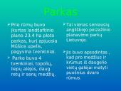 Taujėnai. Buvę Radvilų rūmai ir parkas 12 puslapis