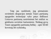 Tauro apygarda 11 puslapis