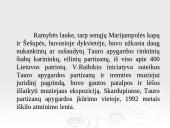 Tauro apygarda 14 puslapis