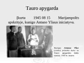 Tauro apygarda 3 puslapis