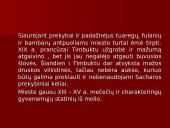 Timbuktu, Malis 7 puslapis