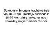 Tracheostomija 5 puslapis