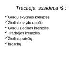 Tracheostomija 6 puslapis