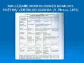 Tranzitorinės naujagimio būklės 7 puslapis