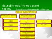 Trinties jėga fizikoje 11 puslapis