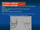 Trinties jėga fizikoje 13 puslapis