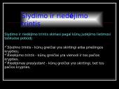 Trinties jėga fizikoje 9 puslapis